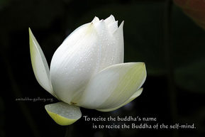 To recite the Buddha's name is to recite the Buddha of the self-mind.
